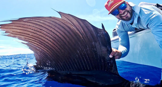 Pelagic Pursuit