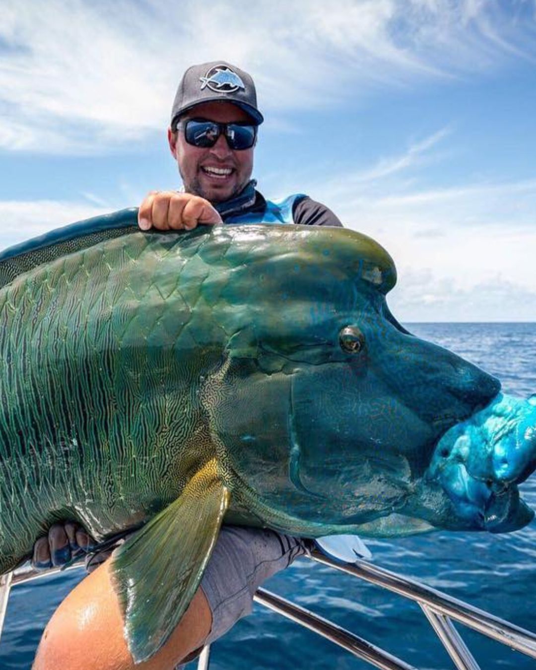 PELAGIC PURSUIT