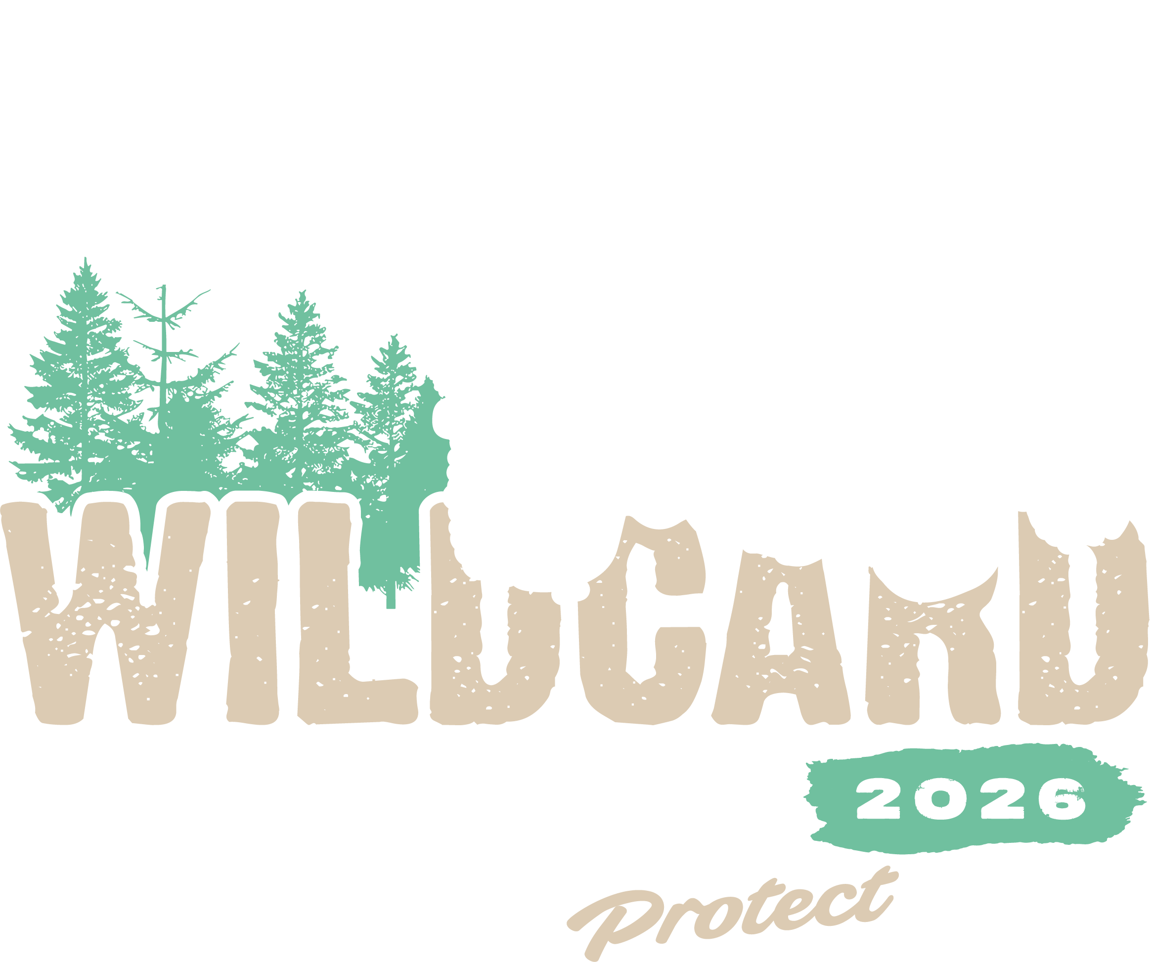 Banner Logo