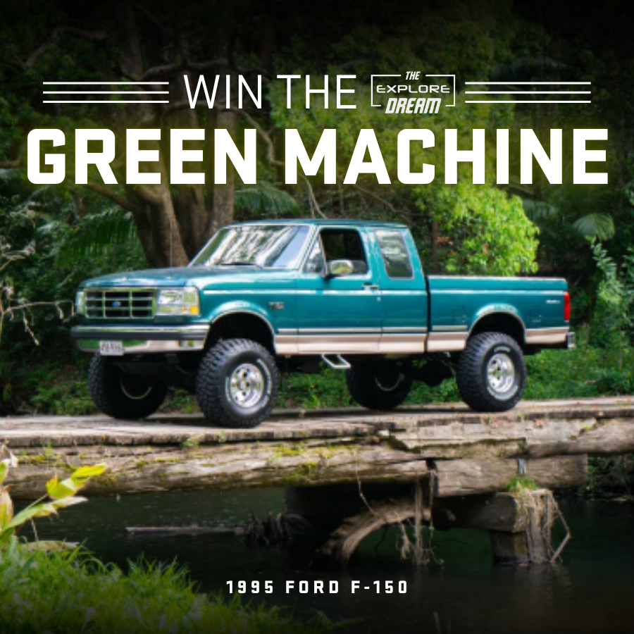 1995 Ford F-150