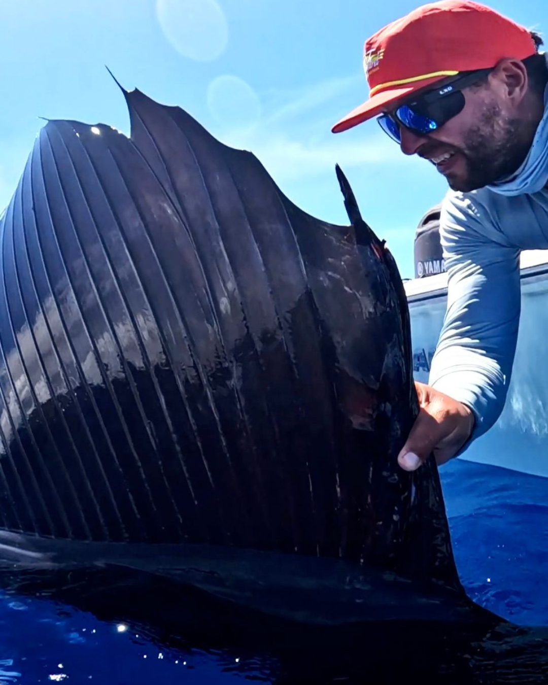 PELAGIC PURSUIT